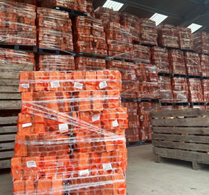 Nationwide Wholesale netted dry logs Delivery based in carmarthenshire
