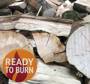 Nationwide Wholesale netted dry logs Delivery based in carmarthenshire